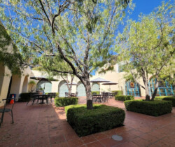 Seed library donation at Scripps Miramar Ranch Library