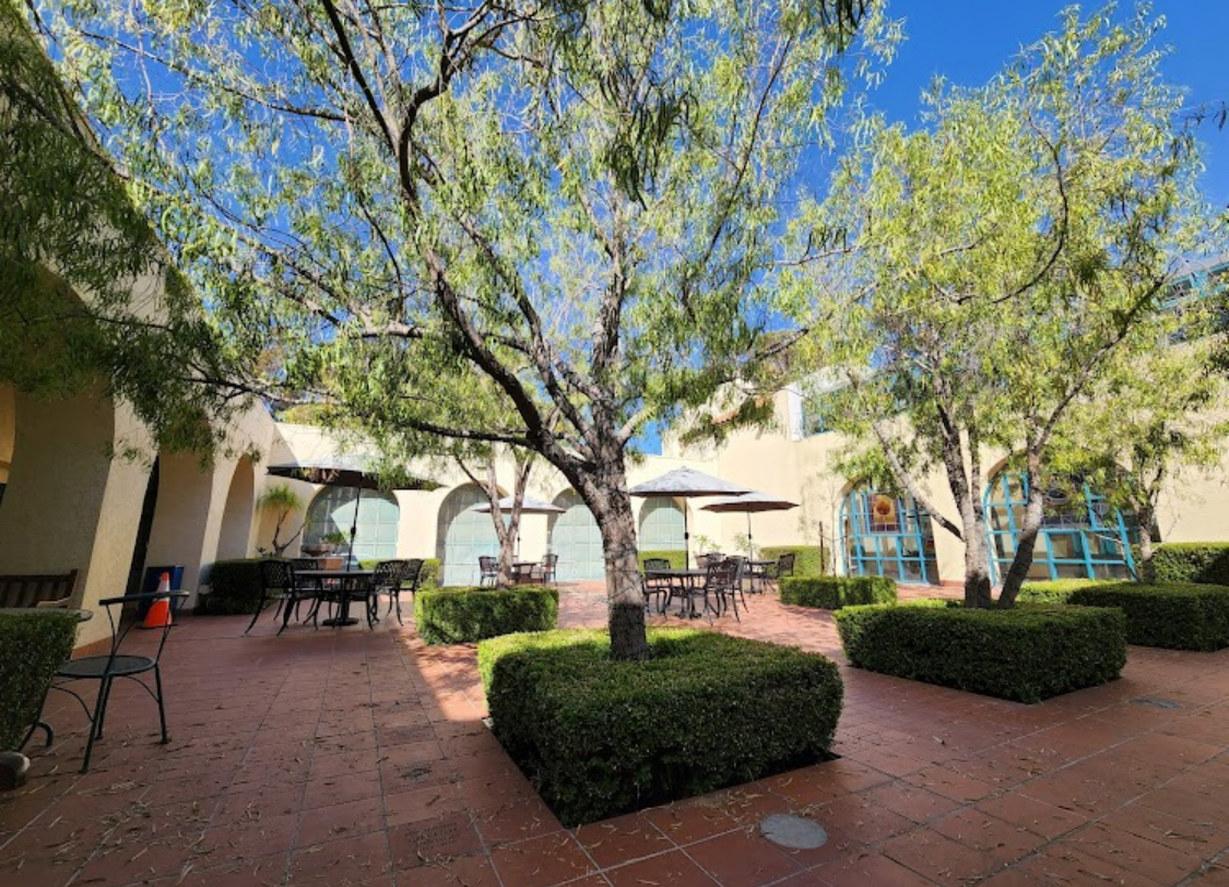 Seed library donation at Scripps Miramar Ranch Library